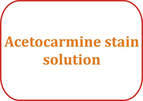 Acetocarmine stain solution