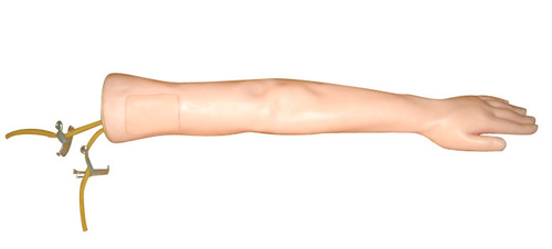Injectable Training Arm Model (Without Set)