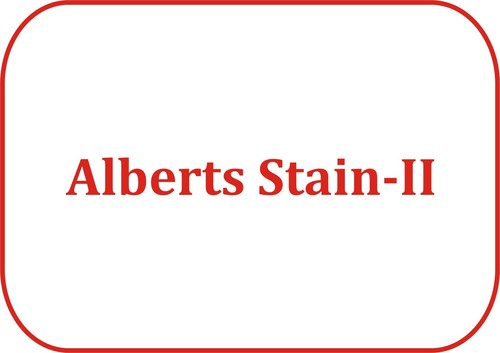 Alberts Stain-II