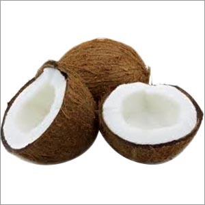 Coconut