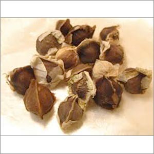 Dried Moringa Seeds