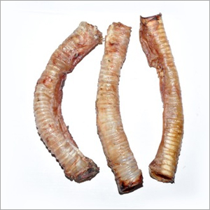 Frozen Trachea Frozen Trachea