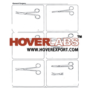 General Surgery - Stainless Steel Surgical Scissors, 5"-10", Curved/Straight Blades | Precise Cuts, Durable, Sterilizable