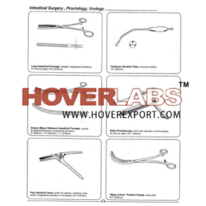 INTESTINAL SURGERY PROCTOLOGY UROLOGY