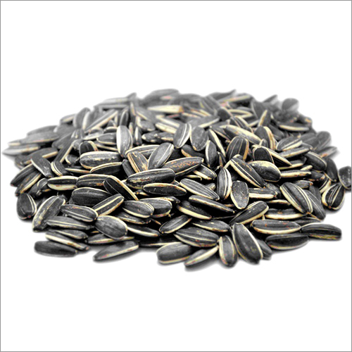 Sun Flower Seed