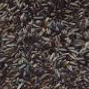 Niger Seed