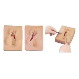 Vulva Suturing Training Simulator