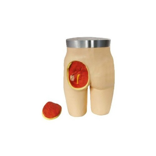 Advanced Intramuscular Injection Training Model