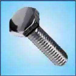 Stainless Steel Bolt