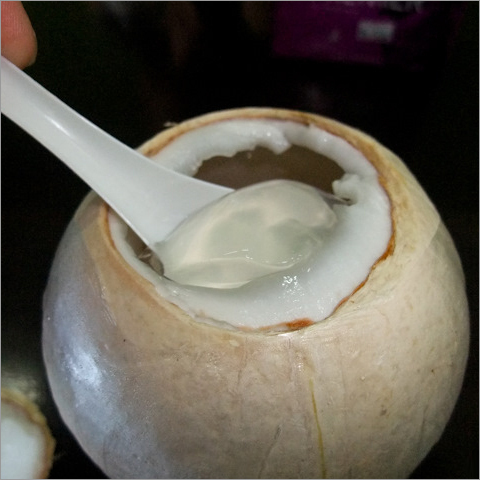 Coconut Jelly