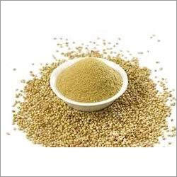 Dried Coriander Powder