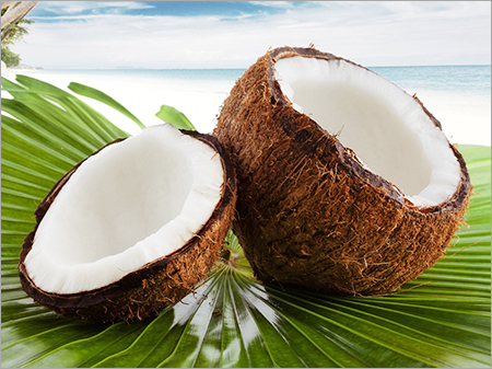 Indian Fresh Coconut