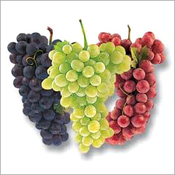 Fresh Grapes