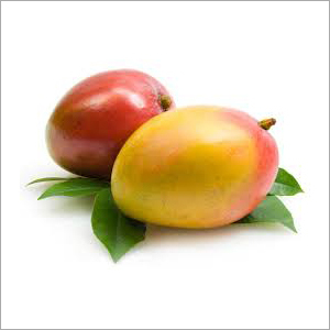 Indian Mango