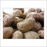 Organic Suran