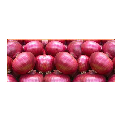 Red Onion