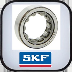 SKF Deep Groove Ball Bearing