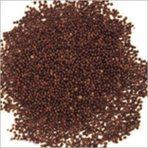 Mustard Seeds