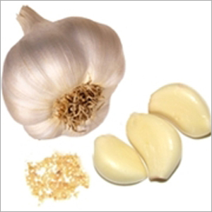Organic Garlic