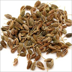 Seeds