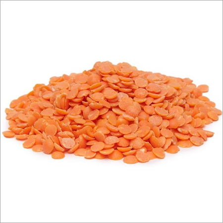 Red Lentil Masoor