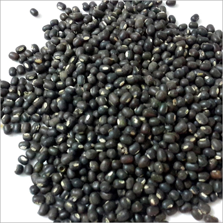 Black Urad