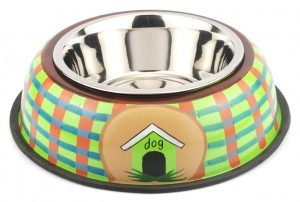  HAND PAINT DOG BOWL