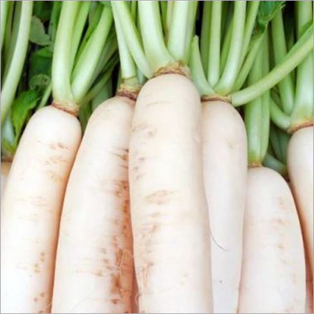 Radish