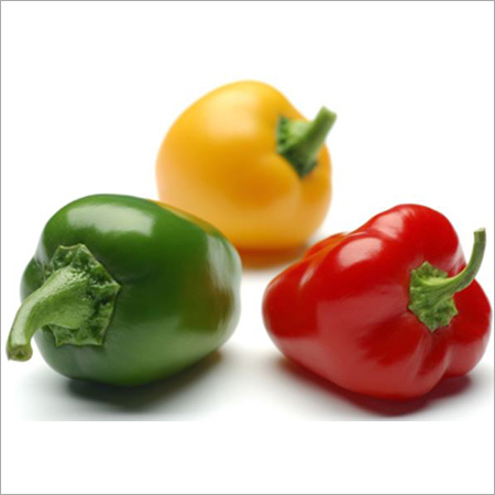 Capsicum