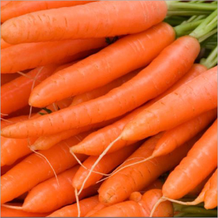 Fresh Carrot