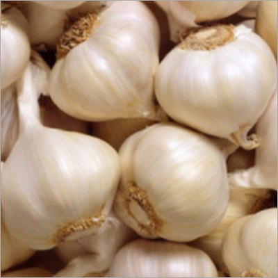 Garlic Bulbs