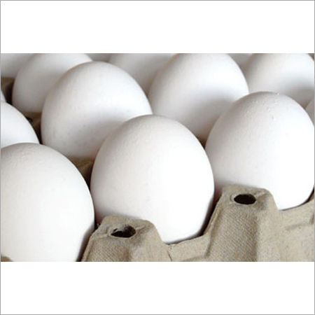 Fresh  White Eggs