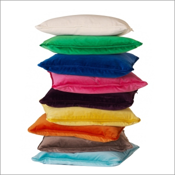 Velvet Cushion