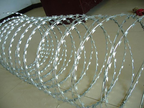 Concertina Wire Concertina Wire
