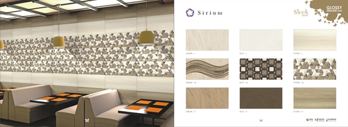 Ceramic Elevation Wall Tiles