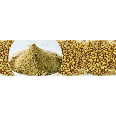 Dry Coriander Powder