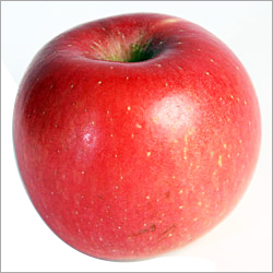 Fresh Apple
