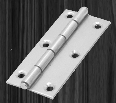 SS Cut Hinges