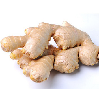Ginger