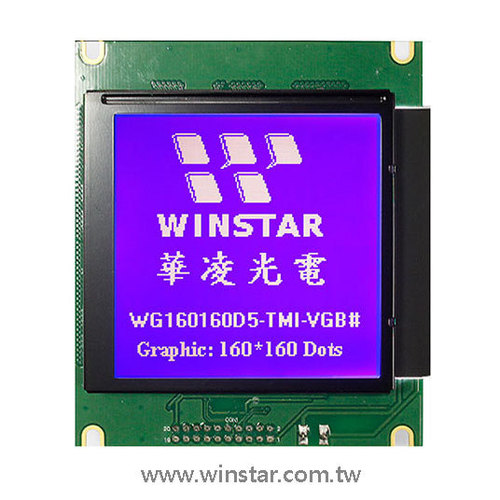 160x160 Graphic Display