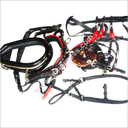 Diddy Harness