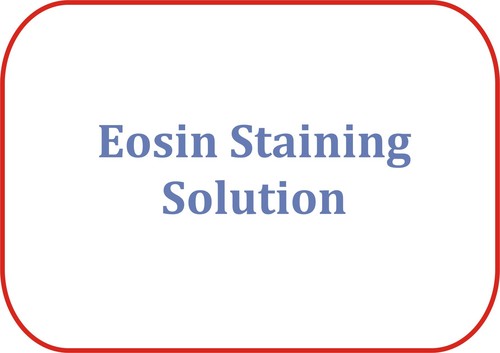Eosin Staining Solution - Eosin Y 500ml LR, 99% Purity, Accurate Staining, Consistent Quality