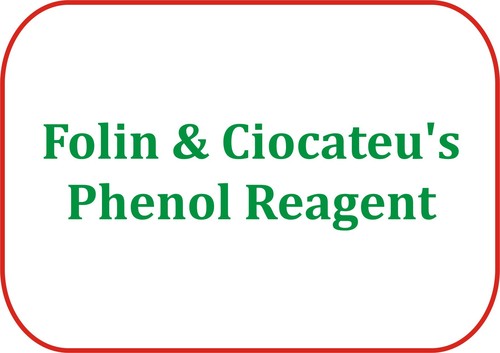 Folin & Ciocateu's Phenol Reagent