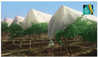 Agricultural Films