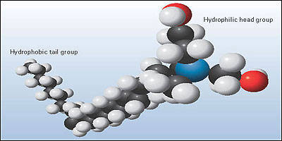 VISCO-ELASTIC SURFACTANT