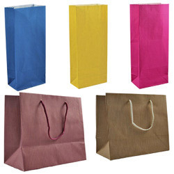 Paper Carry Bag