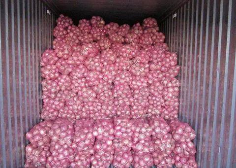 Nasik Red Onion