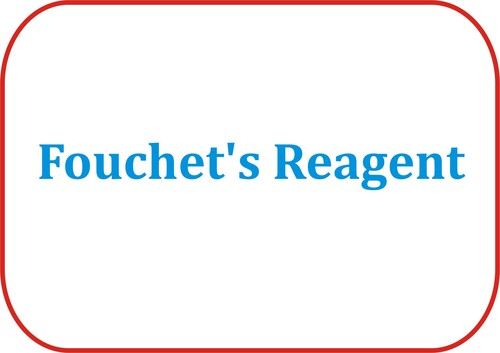 Fouchet's Reagent - 250ml Liquid LR Grade | Rapid Testing, Accurate Results, Reliable Bilirubin Detection