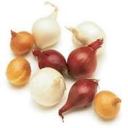 Pearl Onions
