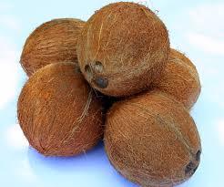Organic Young Coconut
